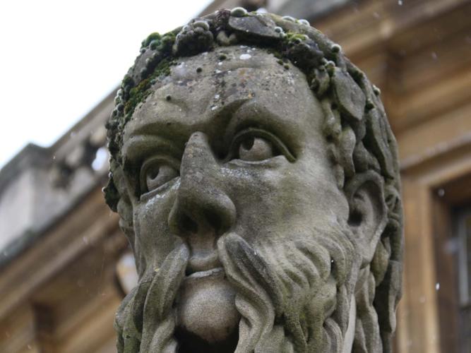 oxford head