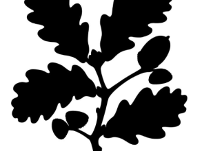 nt logo
